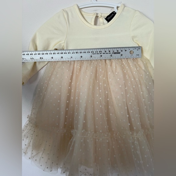 NWT Olivia Rose Indigobaby X Tulle Overlay Dress, 3-6 Months - Picture 3 of 8